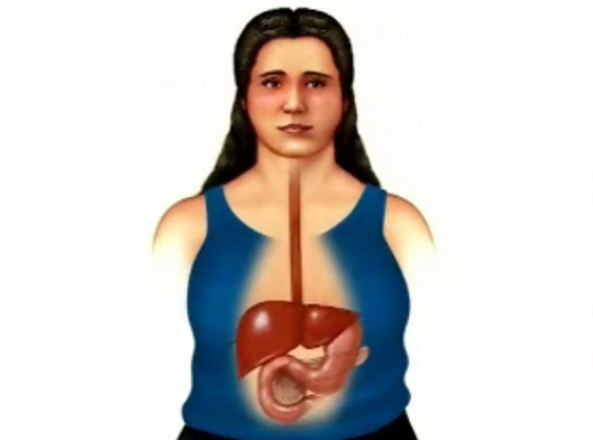 Understanding Diabetes: How Blood Sugar Is Controlled & Disrupted